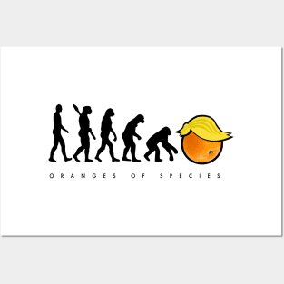 Oranges of Species Posters and Art